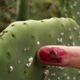 Image for article titled 10 Ghastly Sounding Food Additives That Are (Mostly) Harmless